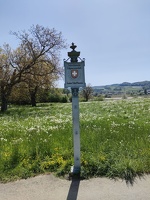 IMG20250502135229