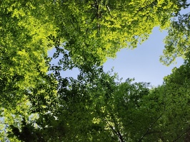 IMG20250502144452