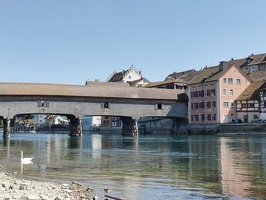 IMG20250502152135