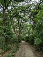 Premiers kilomètres