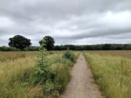 Sur la véloroute 21