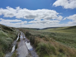 Dans les les Cambrian Mountains