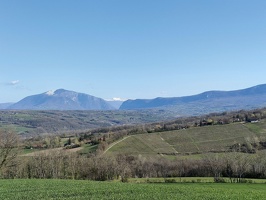 IMG20260403100627
