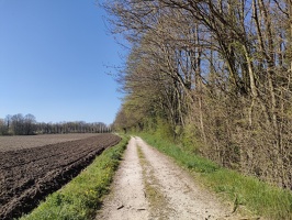 IMG20260403110505