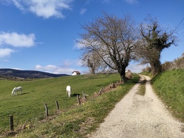 IMG20260404111421