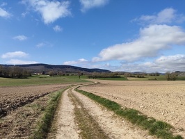 IMG20260404111702