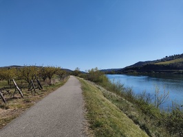 IMG20260404163158
