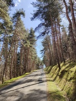 IMG20260405125933