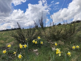 IMG20260405161943