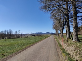 IMG20260406113908