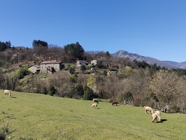 IMG20260407120601