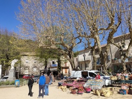 IMG20260407113645