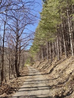 IMG20260407171328