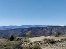 IMG20260409125648