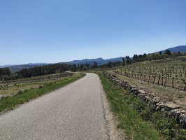 IMG20260409134044