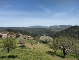IMG20260410125326