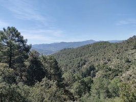IMG20260410131108