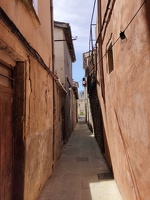 IMG20260410134625