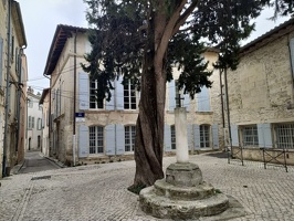 IMG20260412101012