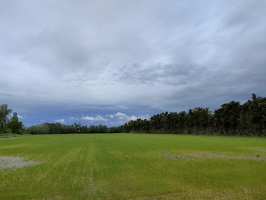 IMG20260413123459