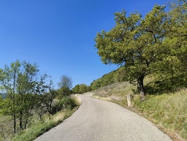 IMG20260415110859
