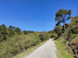IMG20260415115055