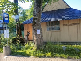 IMG20260624064150