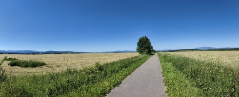 IMG20260625110720