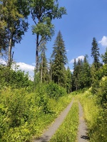 IMG20260626142944