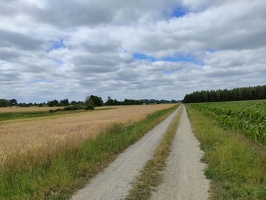 IMG20260704142318