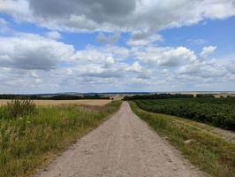 IMG20260705111329