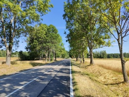 IMG20260706090935