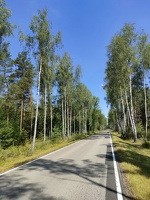 IMG20260706102004