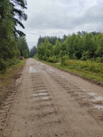 IMG20260707152038