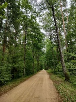 IMG20260708093943