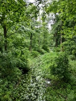 IMG20260708102340