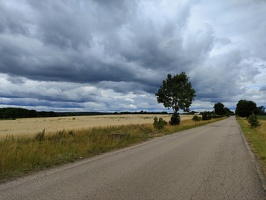 IMG20260709094620