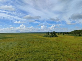 IMG20260711094255