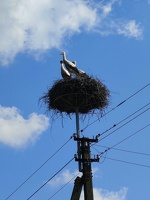 IMG20260713155908