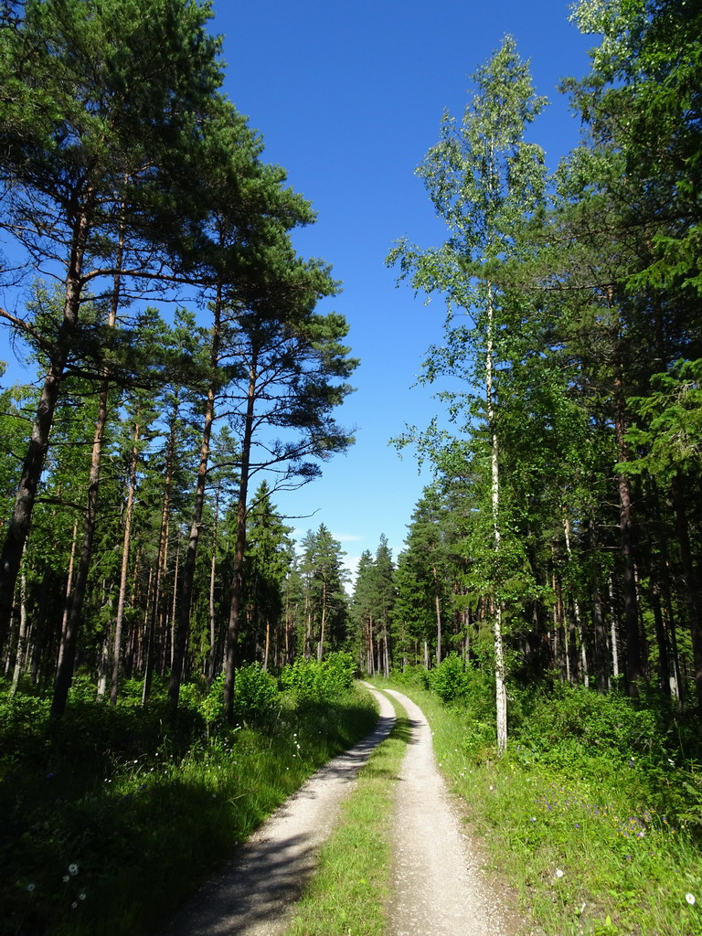 pays baltes à vélo