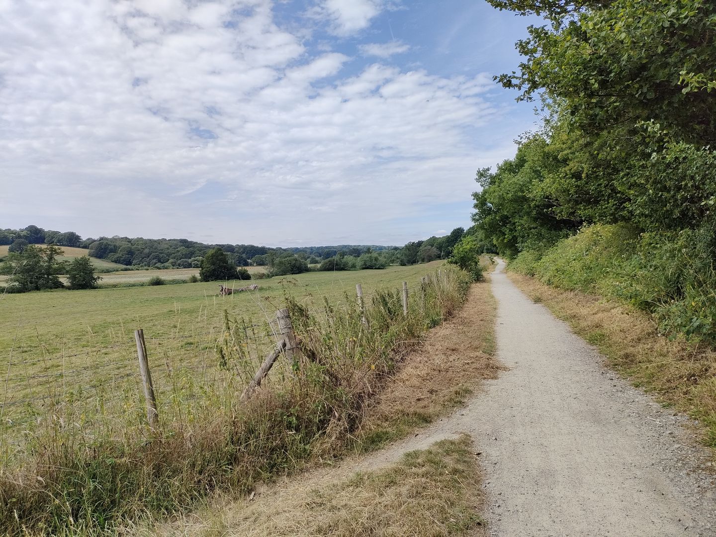 Forest Way Royaume-Uni