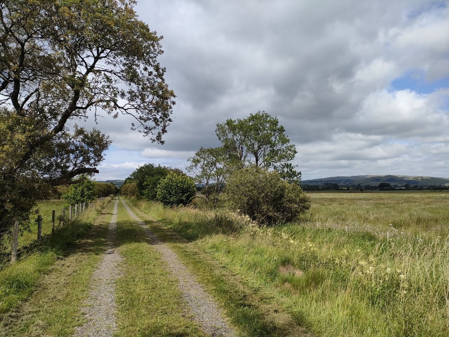 Chemin à travers une zone naturelle Royaume-Uni