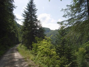 Route du Jura