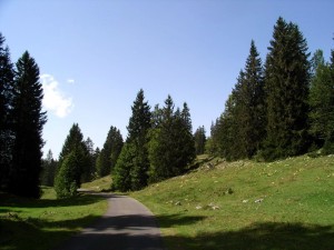 Route du Jura