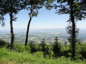 Route forestière du Jura