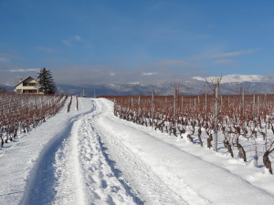 A vélo sur la neige