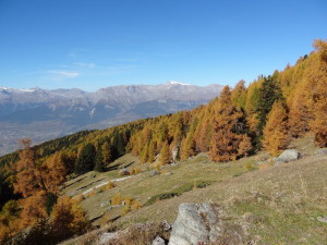 Valais