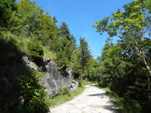 Route des crêtes 3