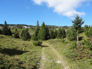 Route des crêtes 3