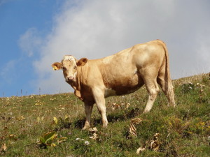 col de crozet